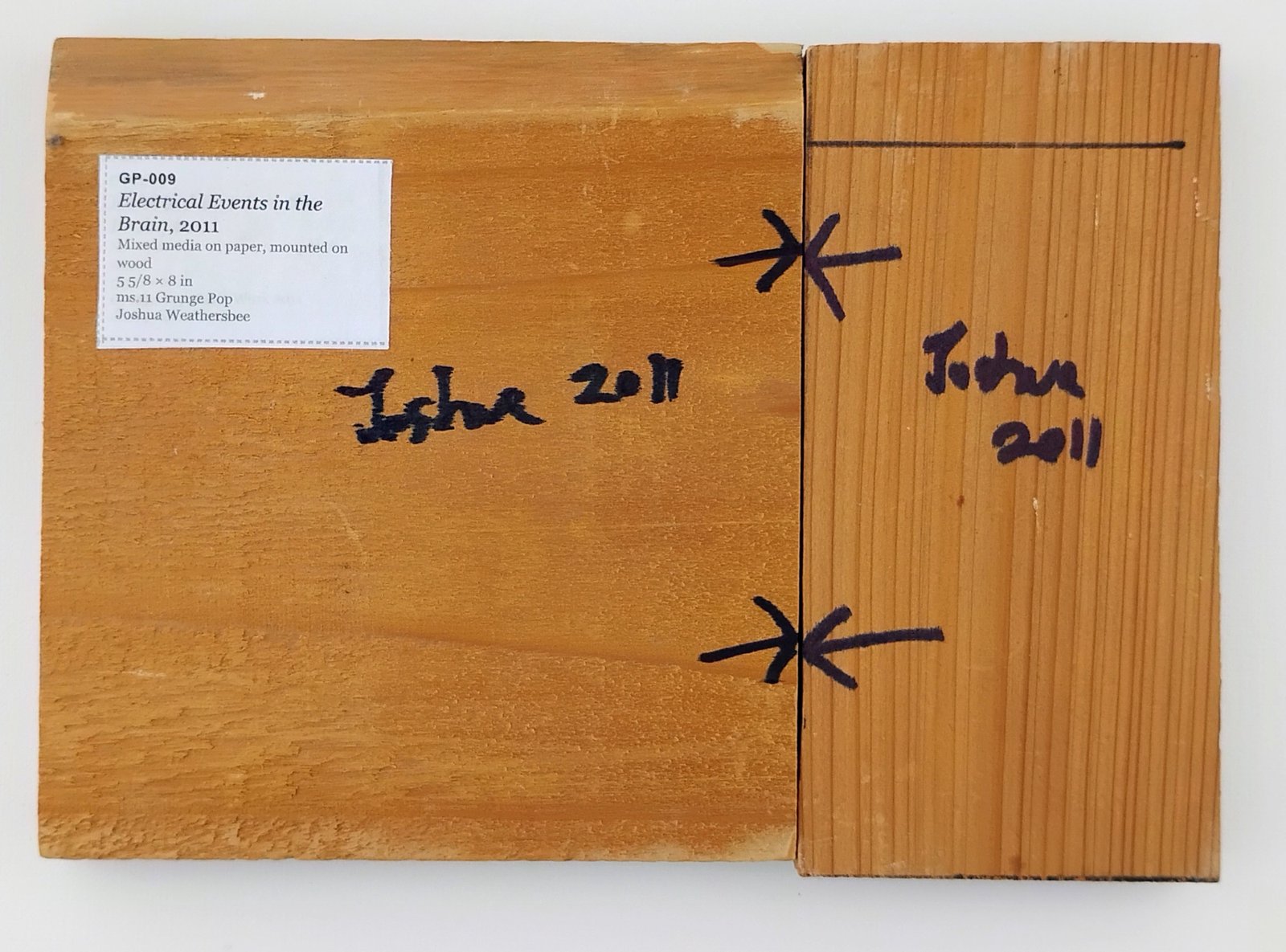 Back of Electrical Events in the Brain, showing signature and label