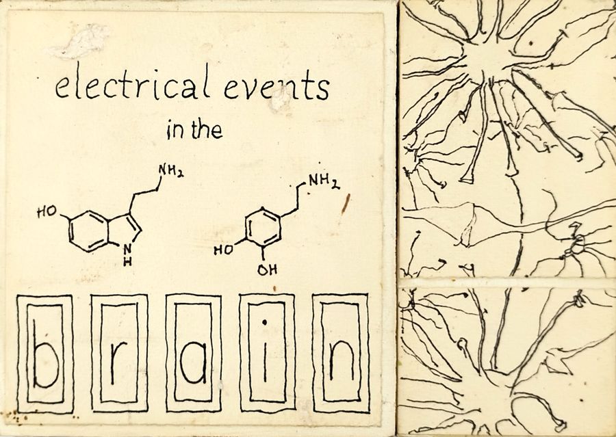 Electrical Events in the Brain